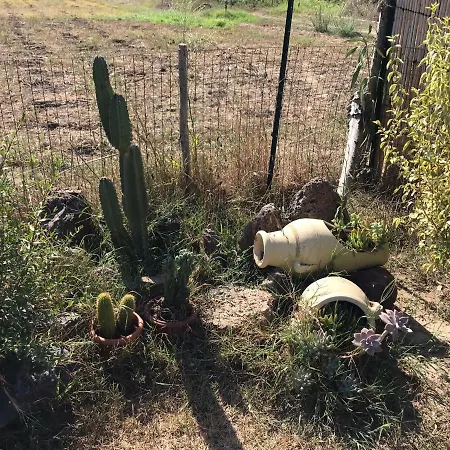 Casa Varvis Apartament Orosei